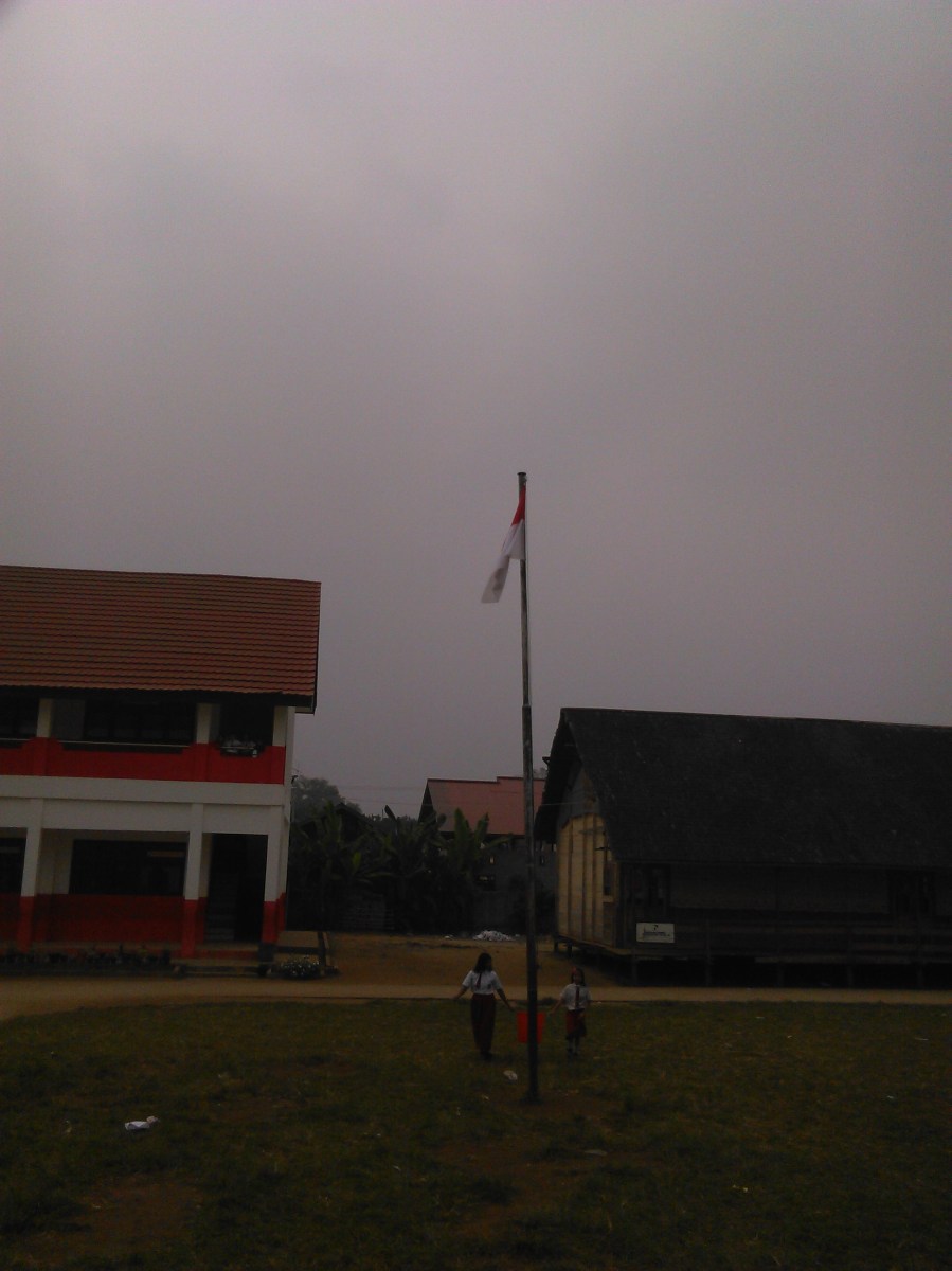 IMG_20151007_093707.jpg image